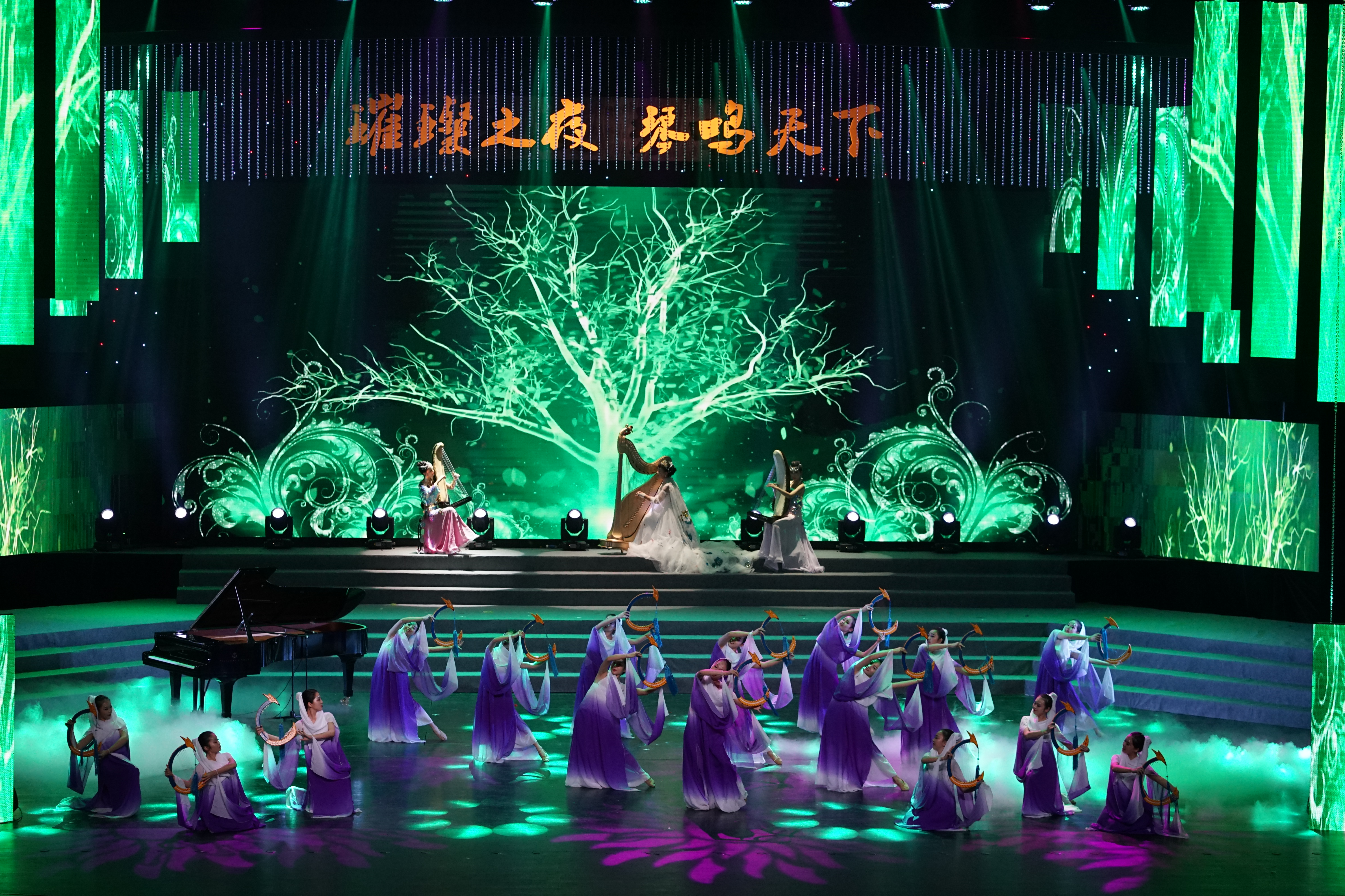 璀璨之夜 琴鸣天下”中拉博览会专场文艺演出